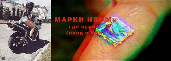 индика Белокуриха